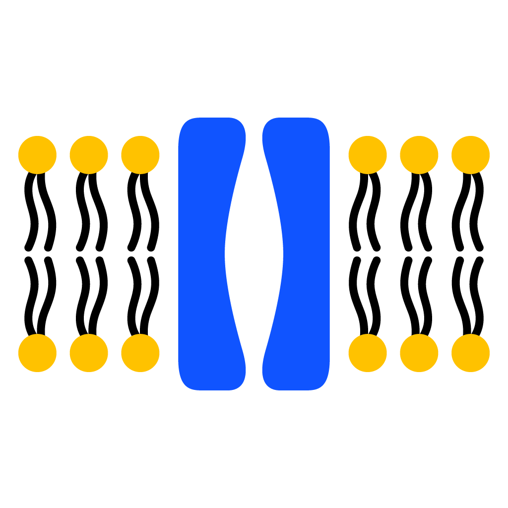 Membrane-protein